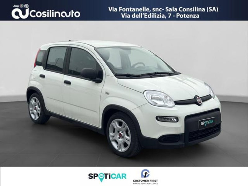 Fiat Panda usata a Salerno (7)