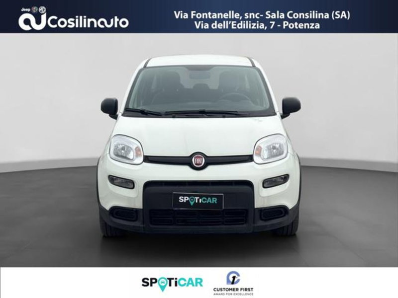 Fiat Panda usata a Salerno (8)