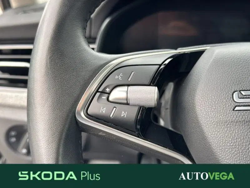 Skoda Kamiq usata a Vicenza (19)