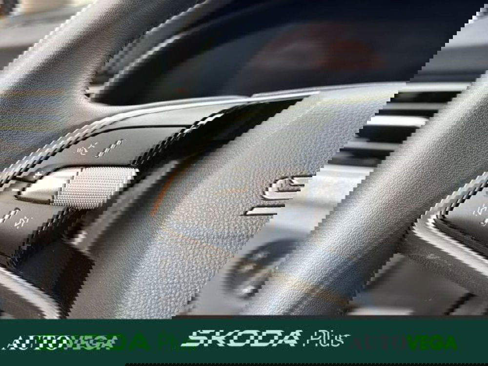 Skoda Kamiq usata a Vicenza (19)