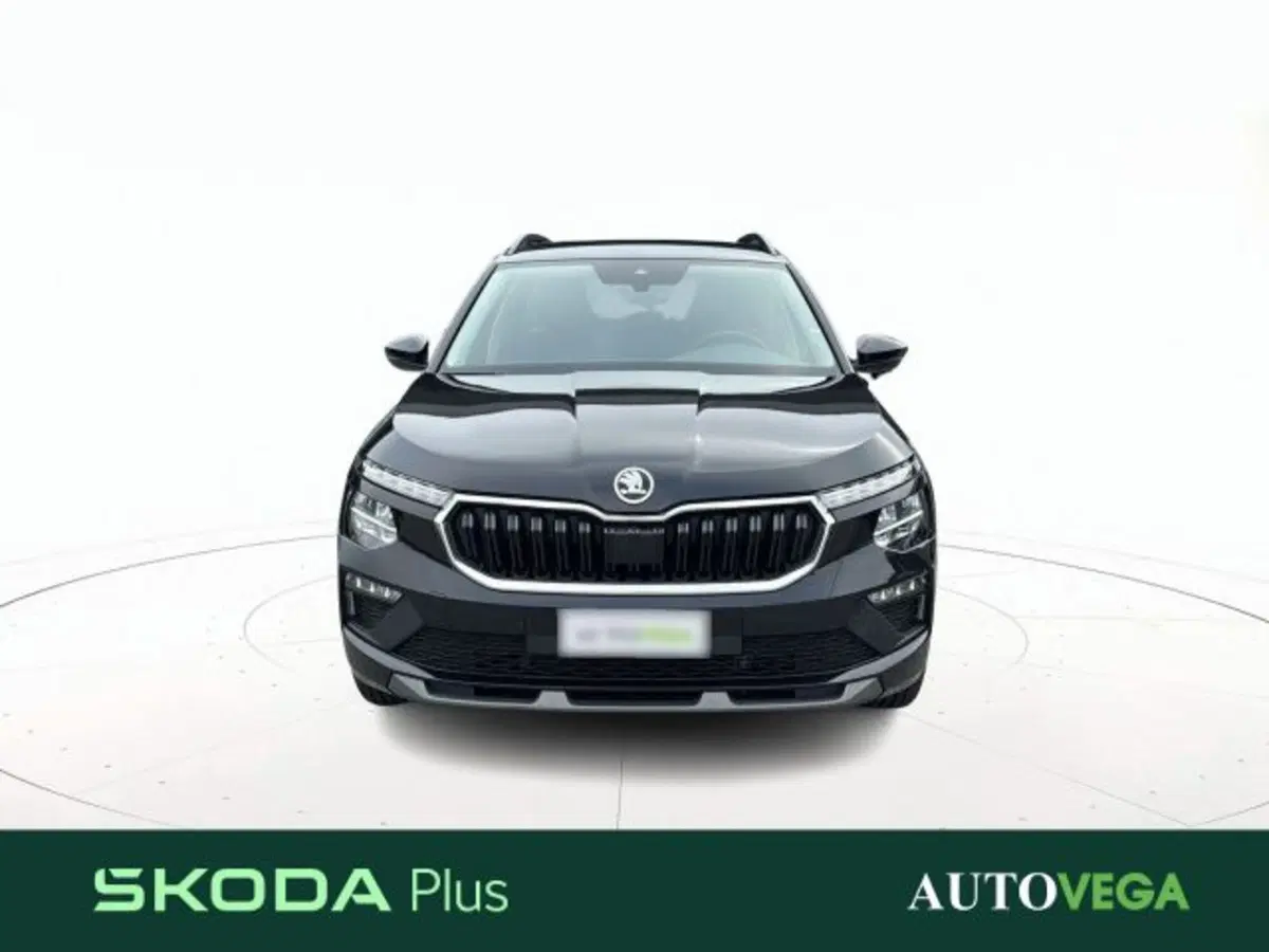 Skoda Kamiq usata a Vicenza (2)
