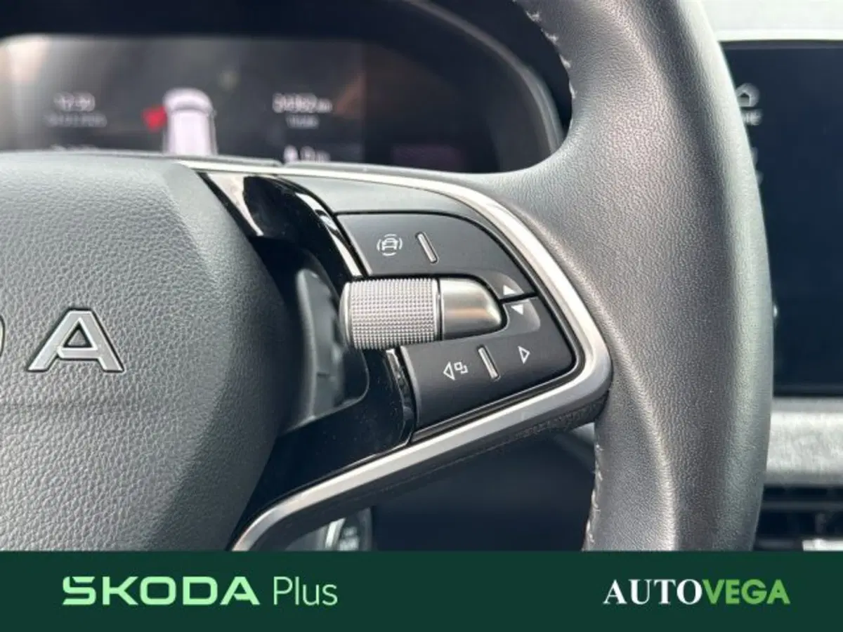 Skoda Kamiq usata a Vicenza (20)