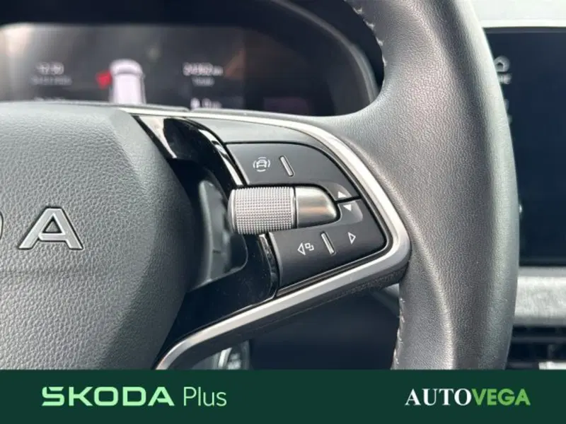 Skoda Kamiq usata a Vicenza (20)