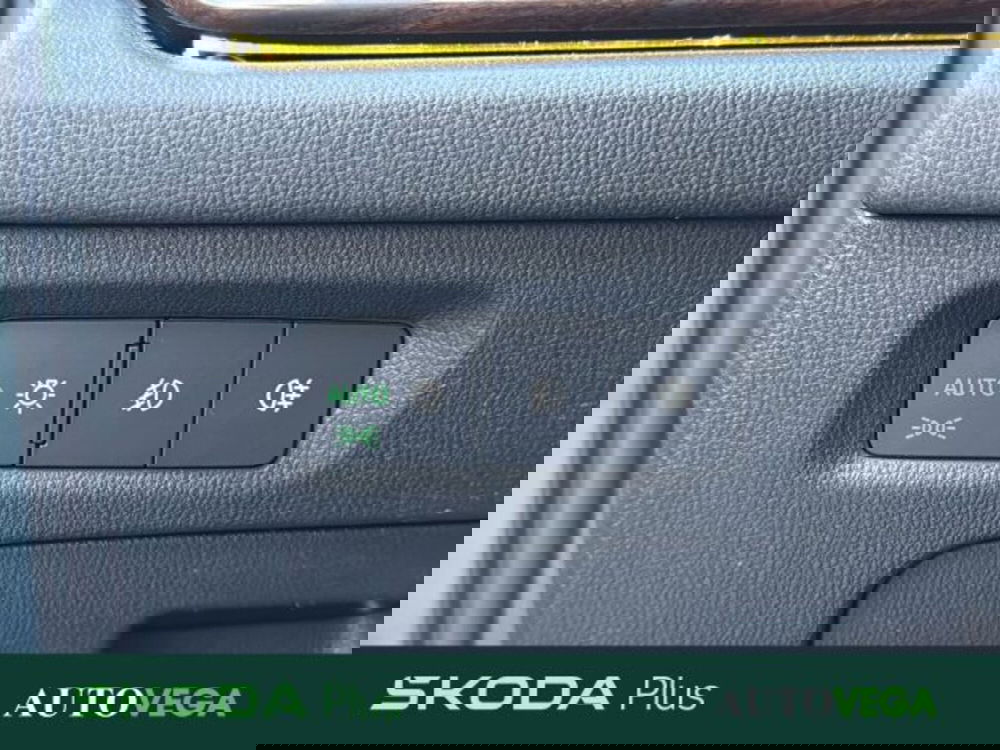 Skoda Octavia Station Wagon usata a Vicenza (14)