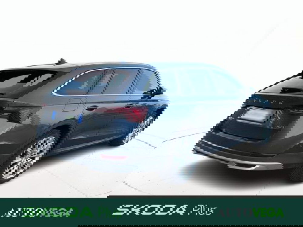 Skoda Octavia Station Wagon usata a Vicenza (3)
