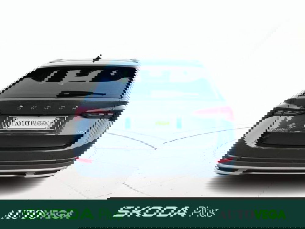 Skoda Octavia Station Wagon usata a Vicenza (4)