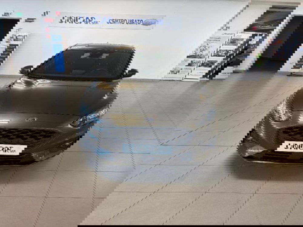 Ford Focus usata a Cuneo (3)