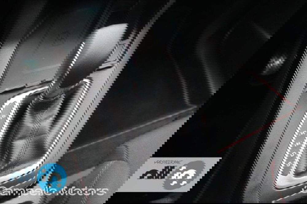 Ford Puma usata a Venezia (13)