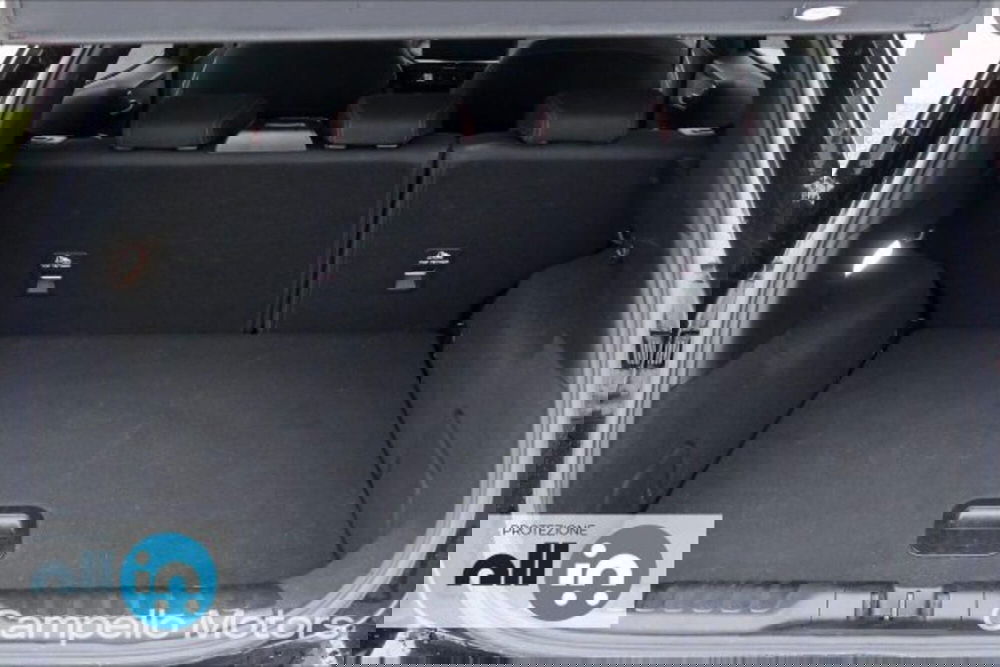 Ford Puma usata a Venezia (16)