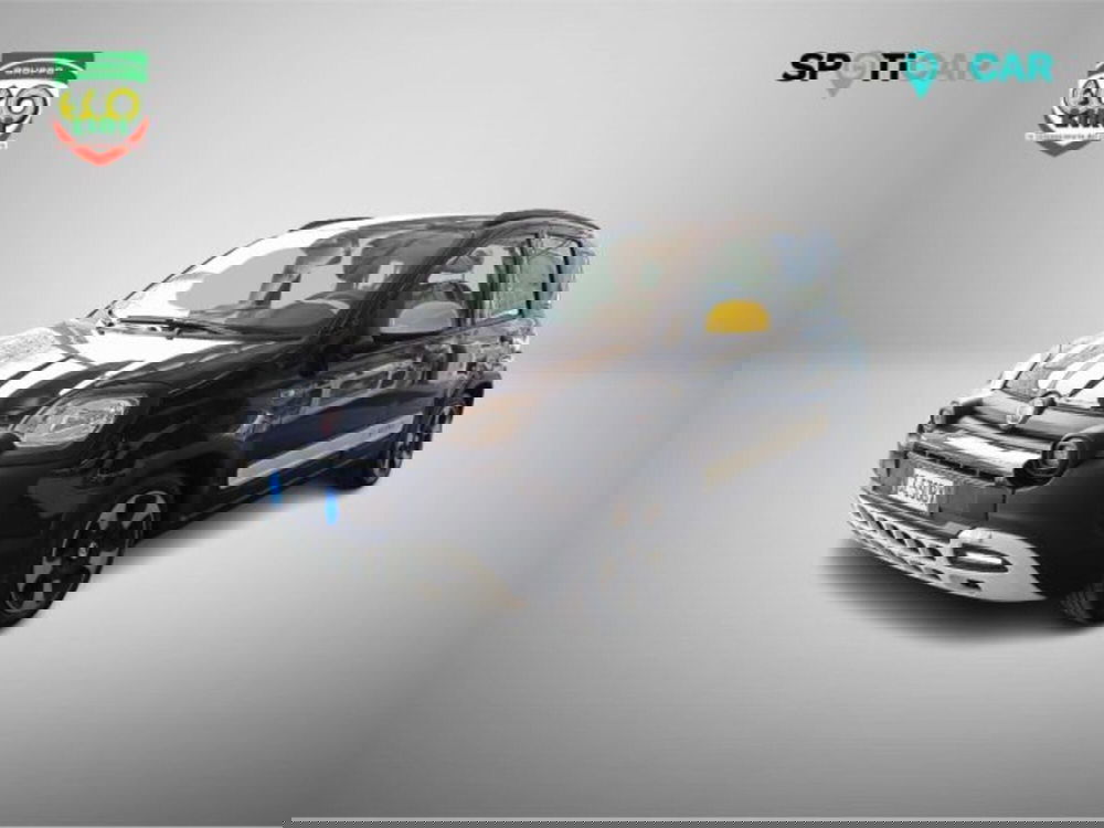 Fiat Panda Cross usata a Frosinone (2)