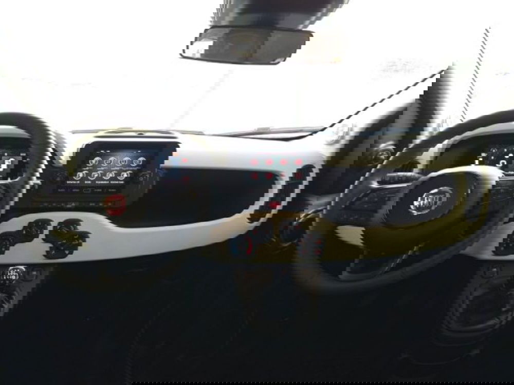 Fiat Panda Cross usata a Frosinone (9)