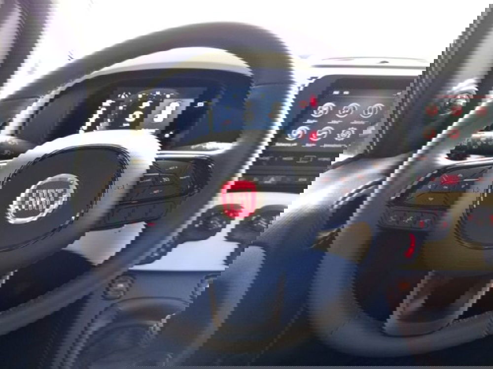 Fiat Panda Cross usata a Frosinone (11)