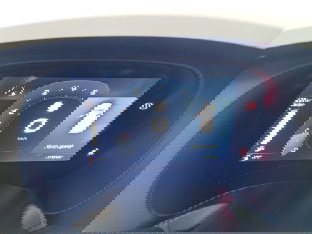 Fiat Panda Cross usata a Frosinone (12)