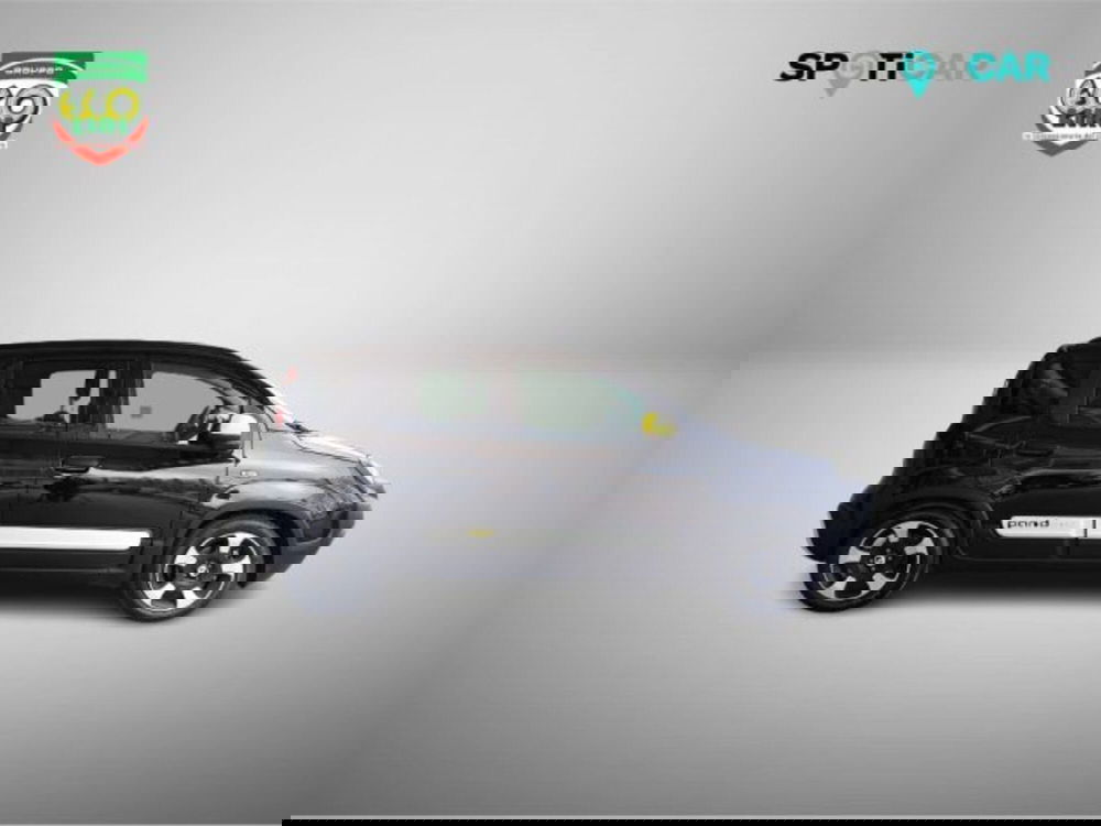 Fiat Panda Cross usata a Frosinone (4)