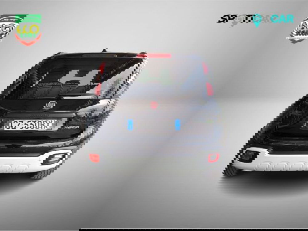 Fiat Panda Cross usata a Frosinone (3)