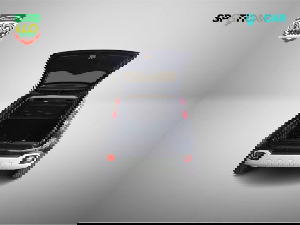 Fiat Panda Cross usata a Frosinone (13)