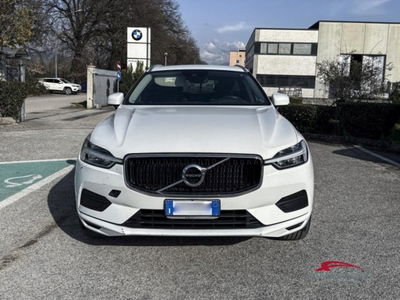 Volvo XC60 D3 Business Plus del 2019 usata a Corciano
