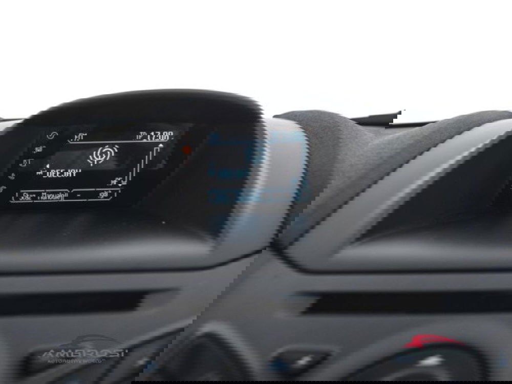 Ford Fiesta usata a Perugia (14)