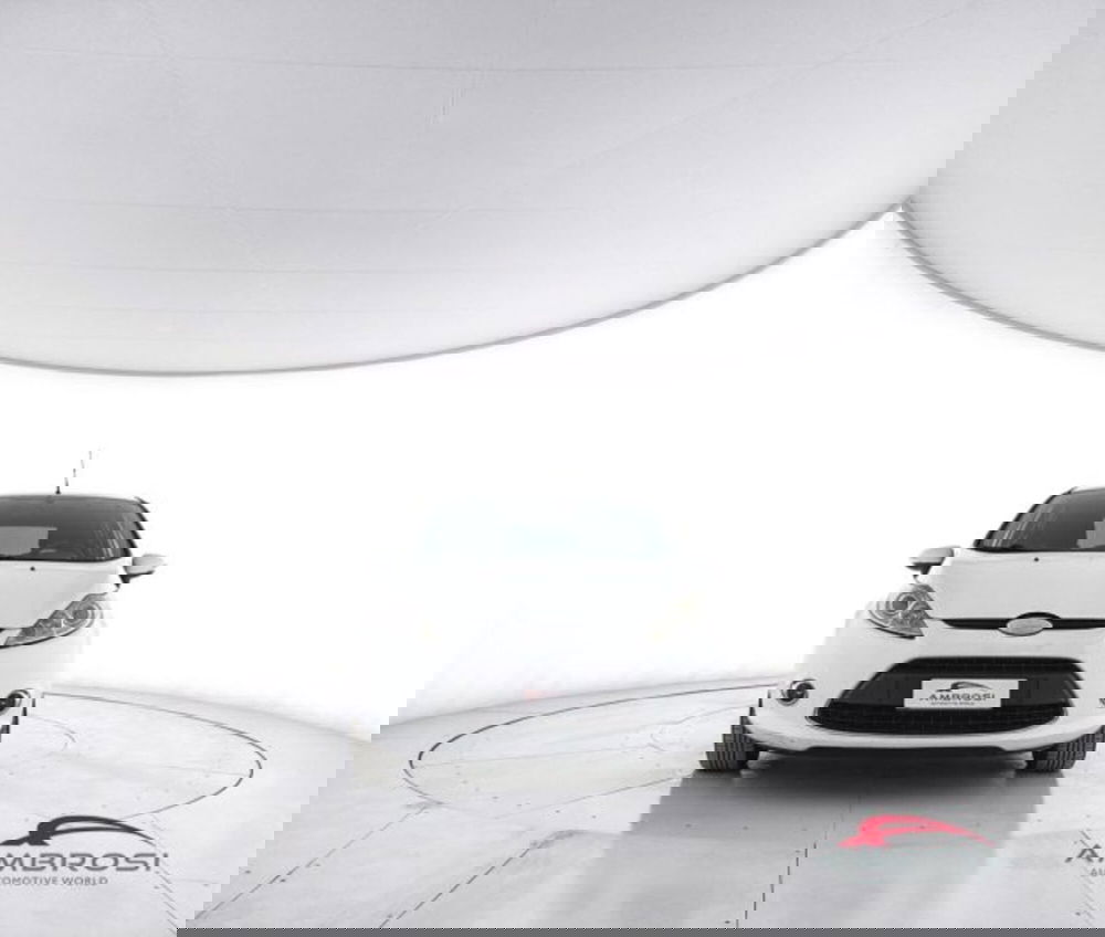 Ford Fiesta usata a Perugia (5)