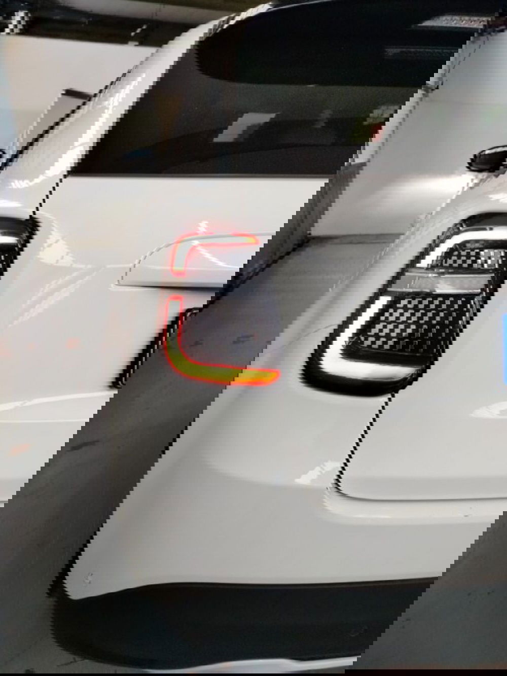 Fiat 600 usata a Forlì-Cesena (10)