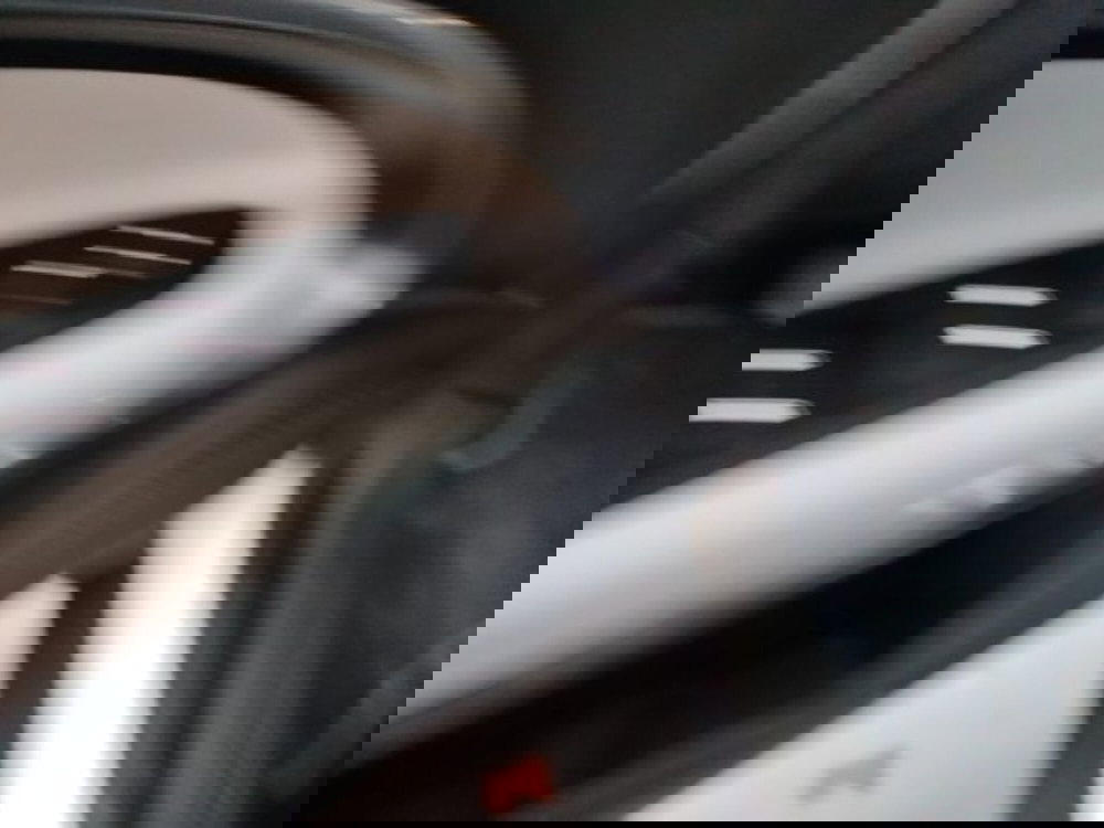 Fiat 600 usata a Forlì-Cesena (17)