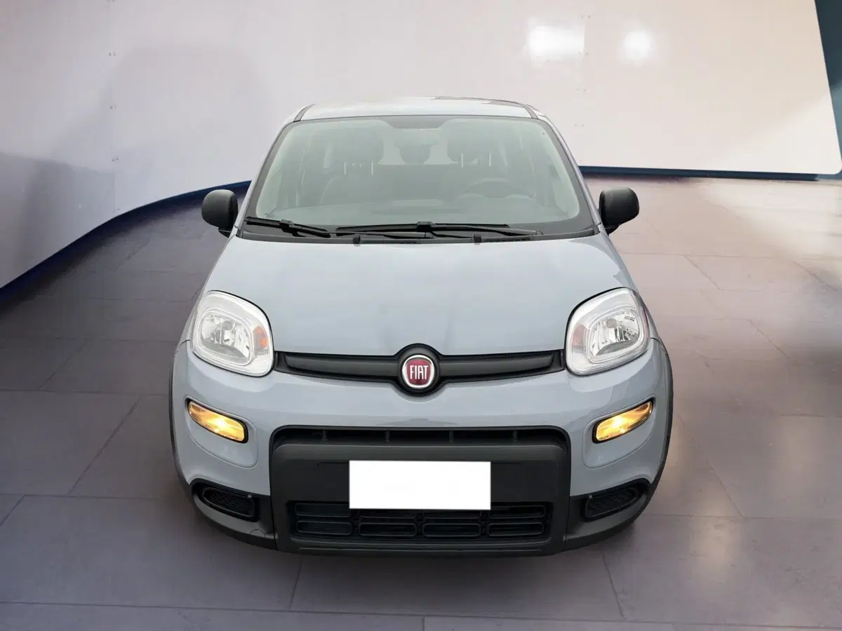 Fiat Panda usata a Torino