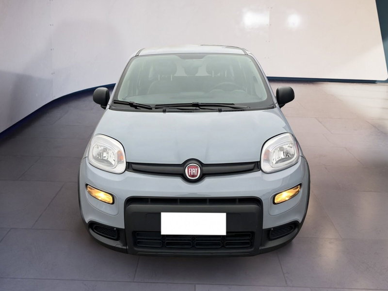 Fiat Panda usata a Torino