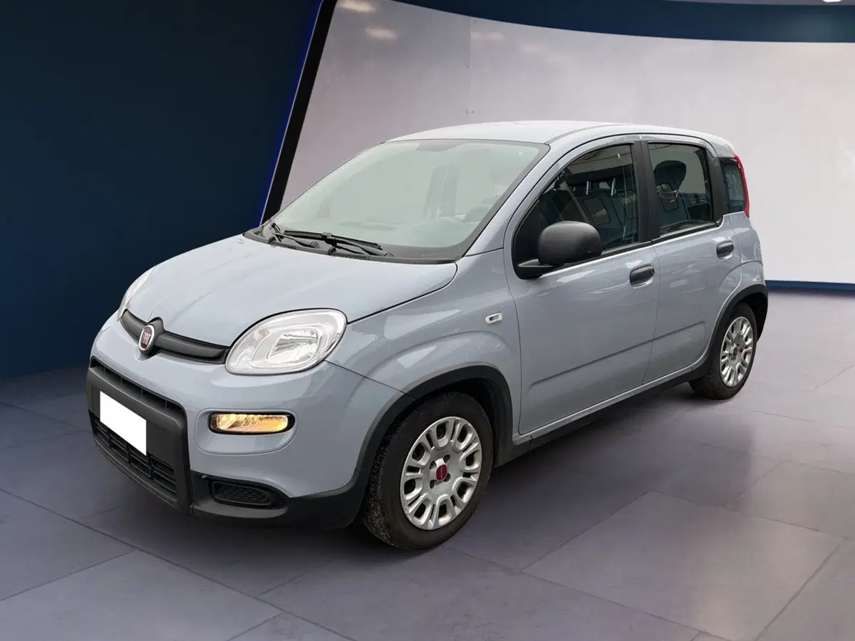 Fiat Panda usata a Torino (2)