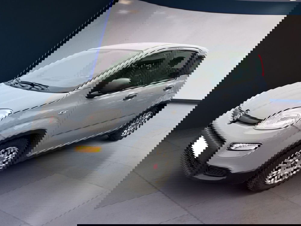 Fiat Panda usata a Torino (2)