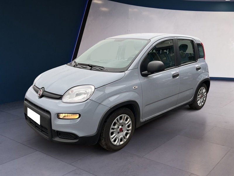 Fiat Panda usata a Torino (2)