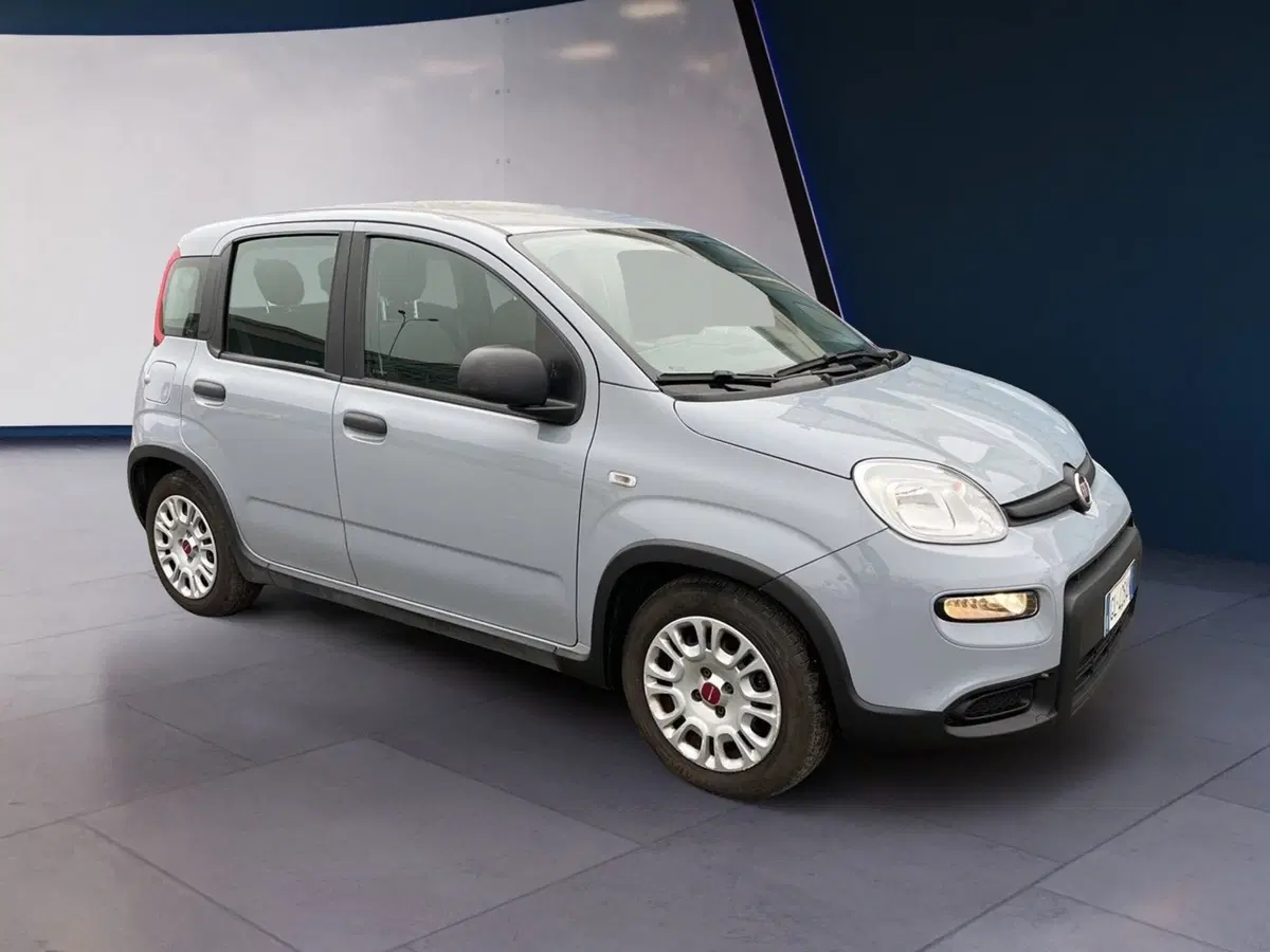 Fiat Panda usata a Torino (3)