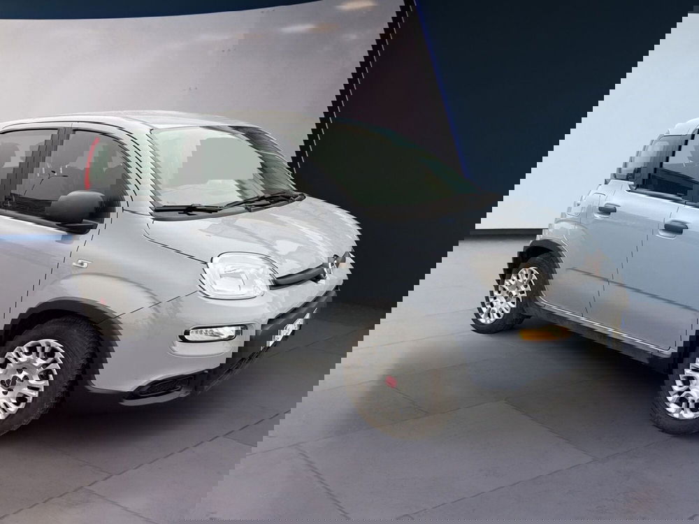 Fiat Panda usata a Torino (3)