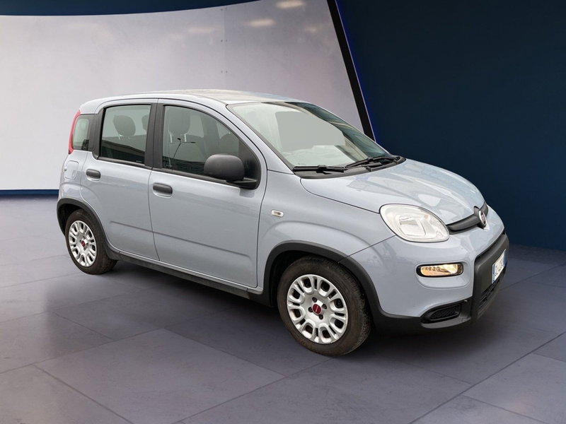 Fiat Panda usata a Torino (3)