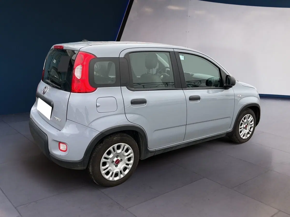 Fiat Panda usata a Torino (4)