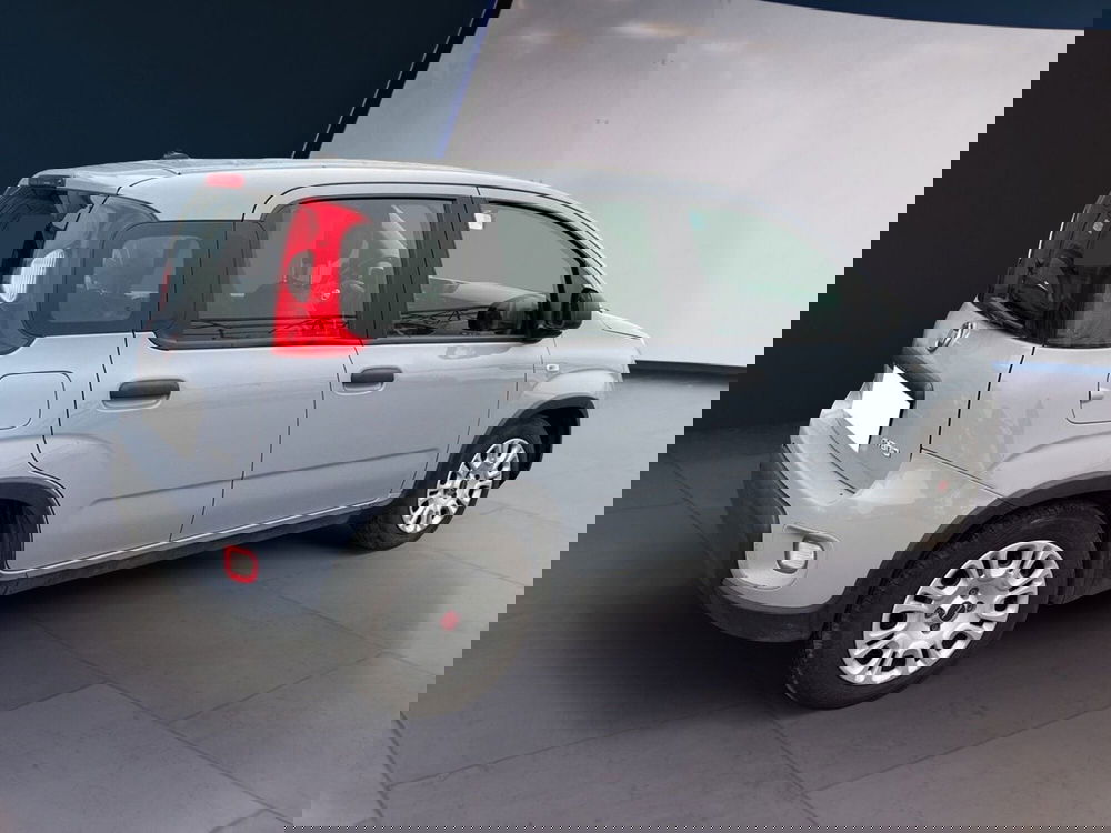 Fiat Panda usata a Torino (4)