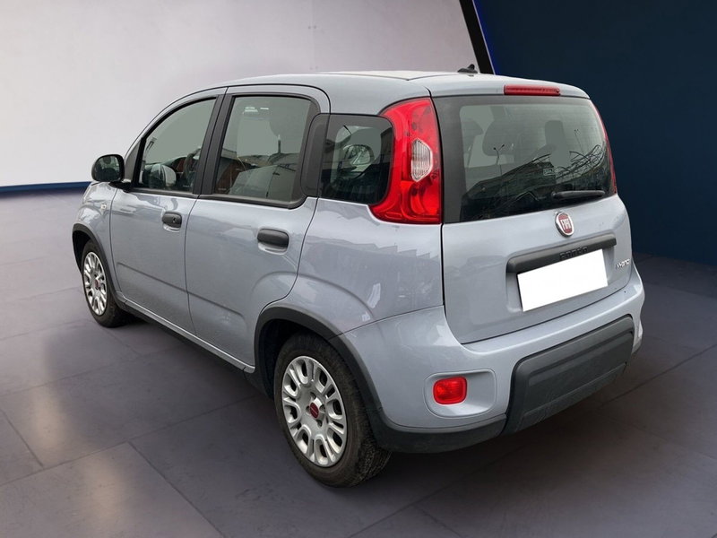 Fiat Panda usata a Torino (6)