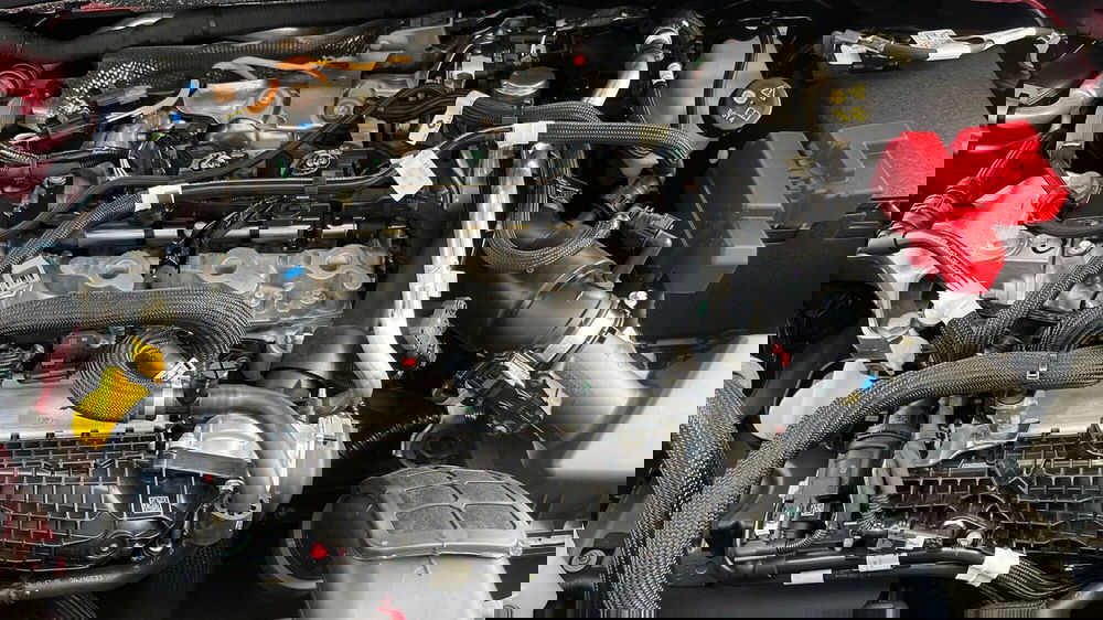 Renault Clio nuova a Treviso (17)