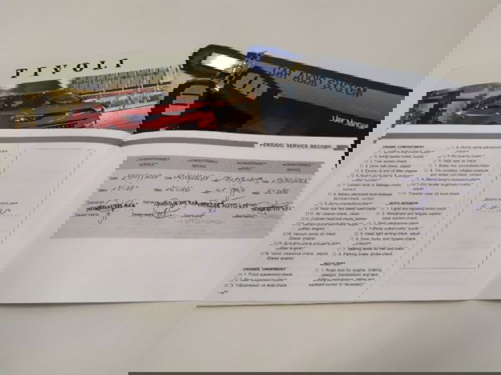 Ssangyong Tivoli usata a Trieste (16)