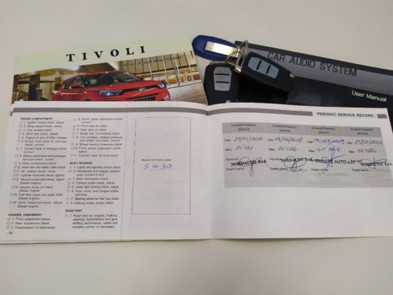 Ssangyong Tivoli usata a Trieste (16)