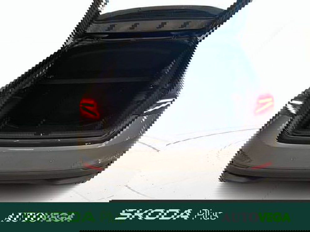 Skoda Fabia usata a Vicenza (15)