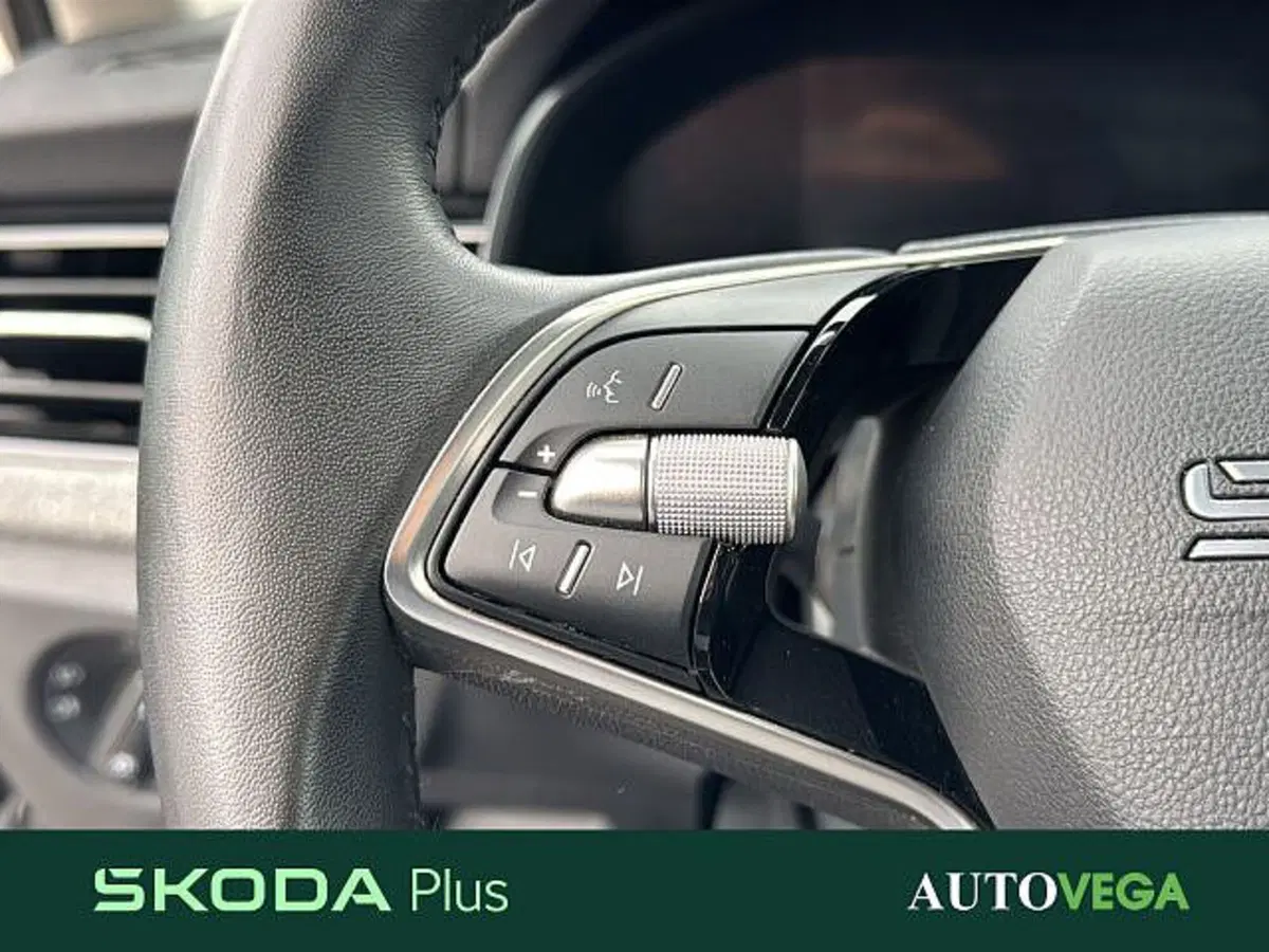 Skoda Kamiq usata a Vicenza (19)