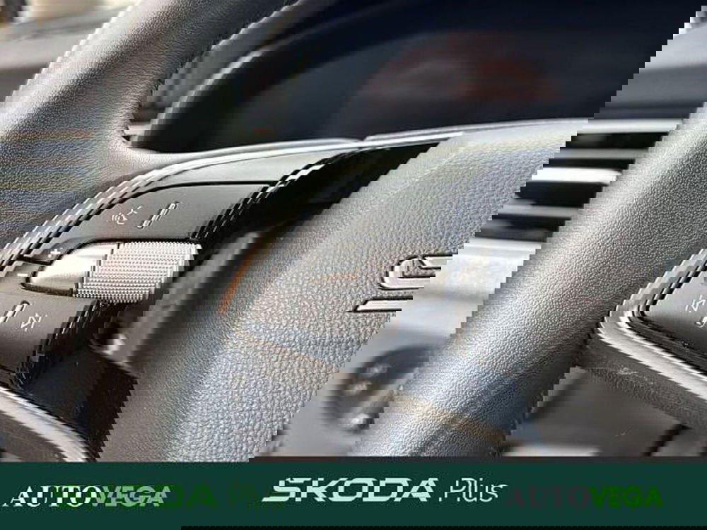 Skoda Kamiq usata a Vicenza (19)