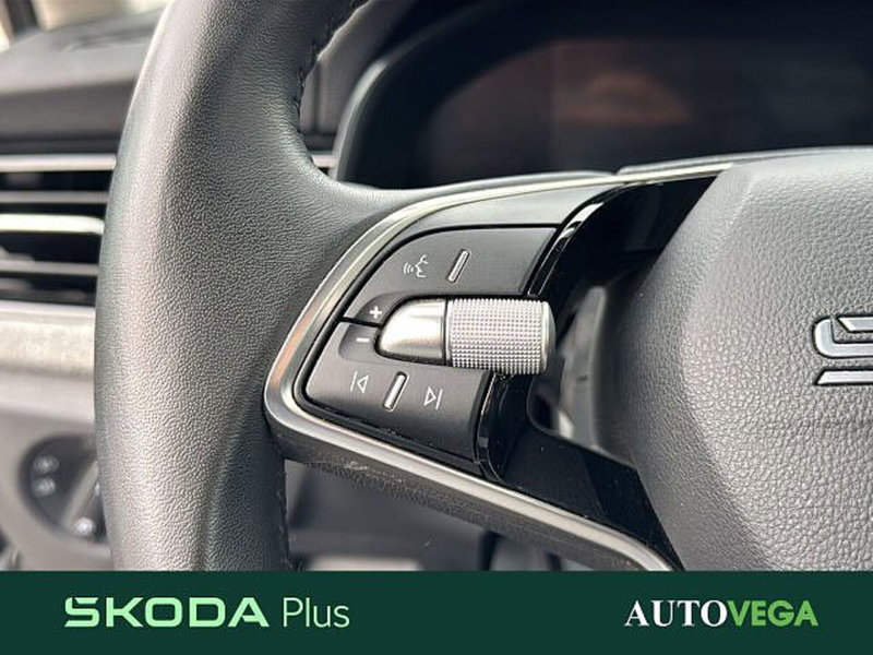 Skoda Kamiq usata a Vicenza (19)