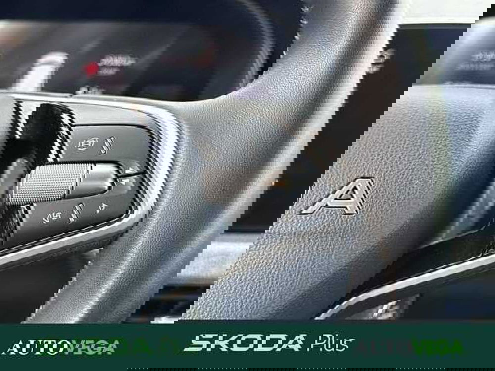 Skoda Kamiq usata a Vicenza (20)