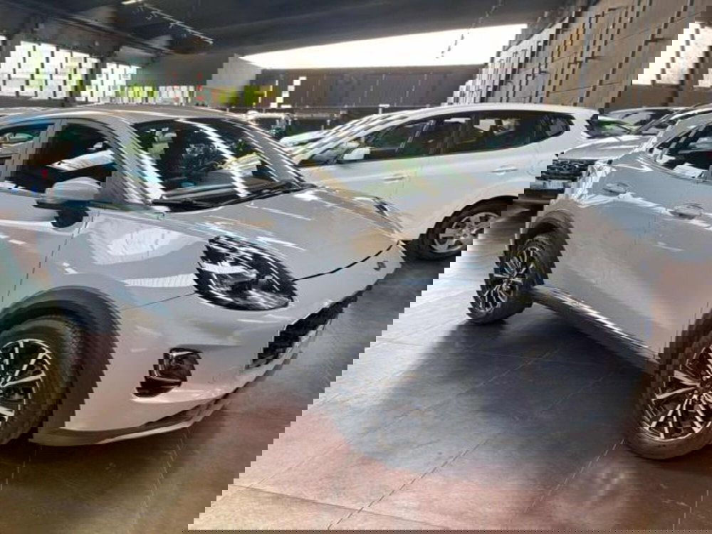 Ford Puma usata a Pesaro-Urbino