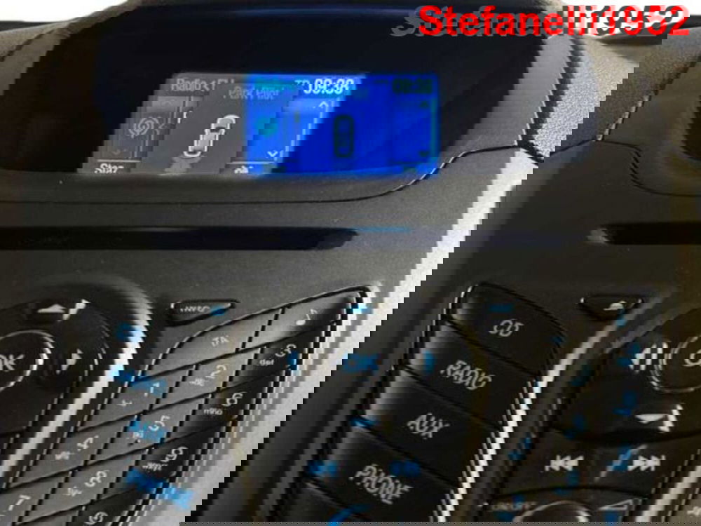 Ford EcoSport usata a Bologna (17)