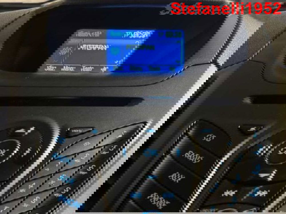Ford EcoSport usata a Bologna (18)