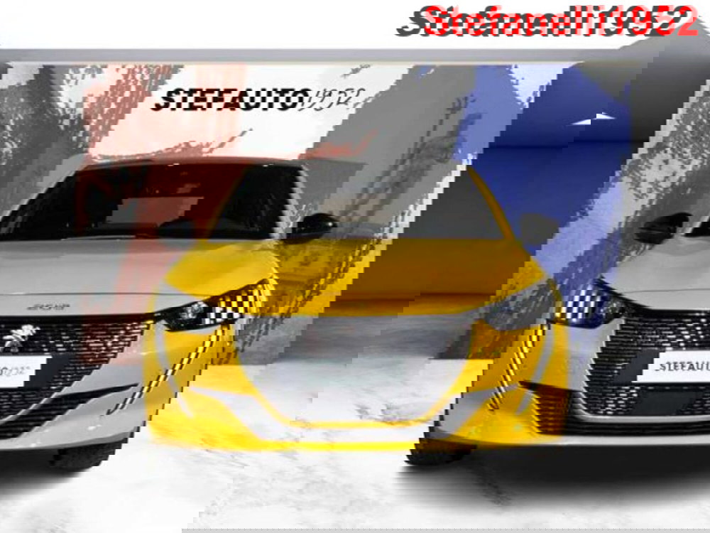 Peugeot 208 usata a Bologna (2)