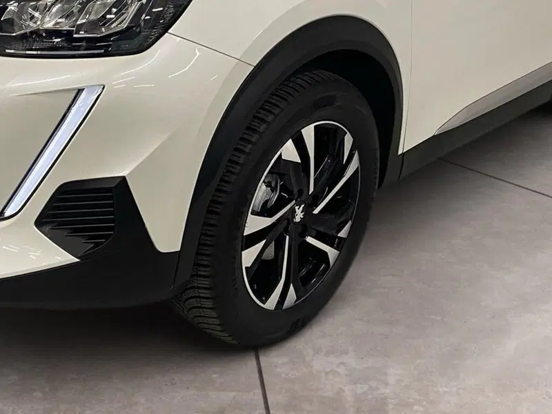 Peugeot 2008 usata a Torino (15)