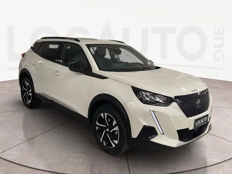 Peugeot 2008 usata a Torino (3)